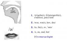 Uh huh. The schwa / ə /. Great starting point for learning accents