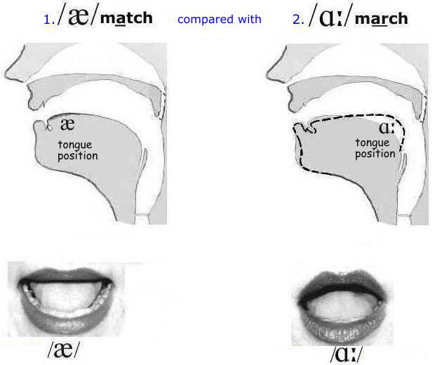 Learn English Pronunciation – Vowels’ a, ar’ in ‘match, march’. Listen in British English, American English and more.