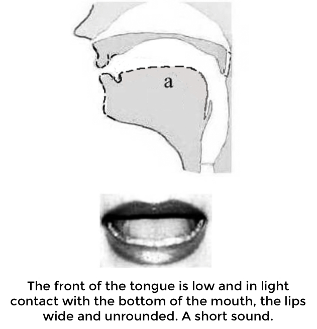 Accents for Actors:  Indian English Accent: Learn the vowel sound /a/